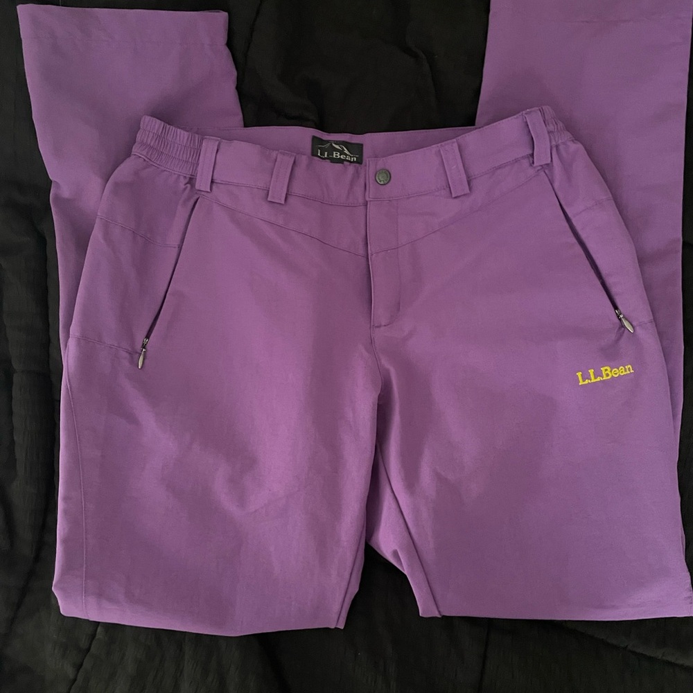 L.L.Bean Violet Waistband Pants